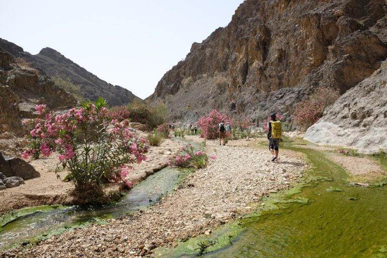 Dana,Biosphere,Reserve,In,Jordan.,Amazing,Scenery,In,Wadi,Ghuweir